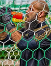 Best Clean Sheet Tips for Goalkeepers