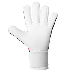 Storm 2026-2027 Goalkeeper Gloves