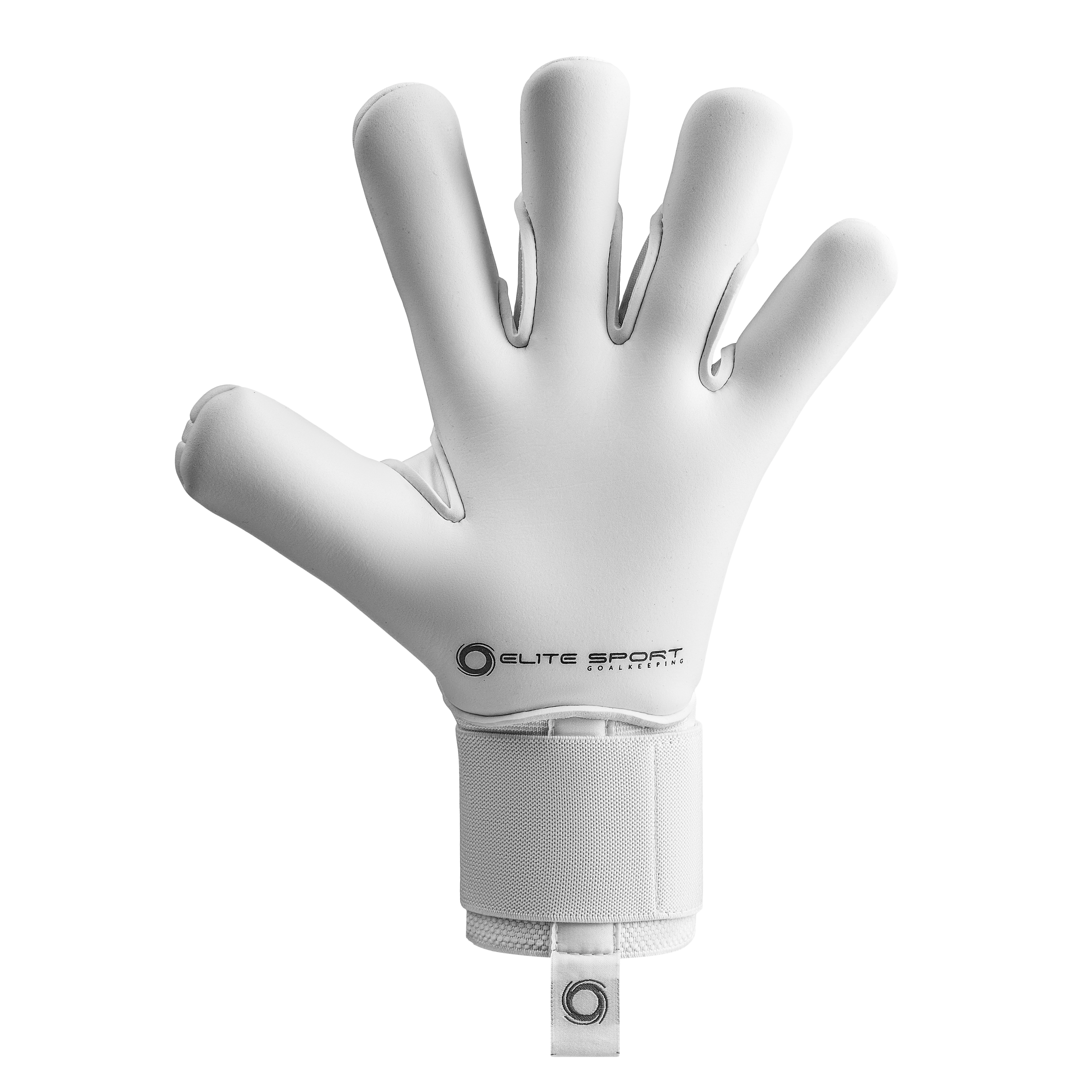 Revolution X WG1 2026 - 2027 Goalkeeper Gloves